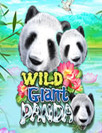 สูตร สล็อต joker โร ม่า ที่คุณต้องรู้เพื่อชนะ